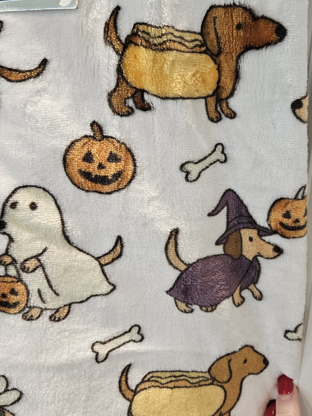 đ Pickle & Dot Dachshund Halloween Oversized Plush Throw Blanket 60â x 70â NWT - Picture 9 of 9
